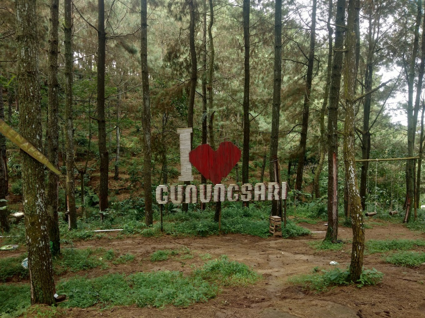 Tempat wisata di Pati, Hutan Pinus Gunungsari