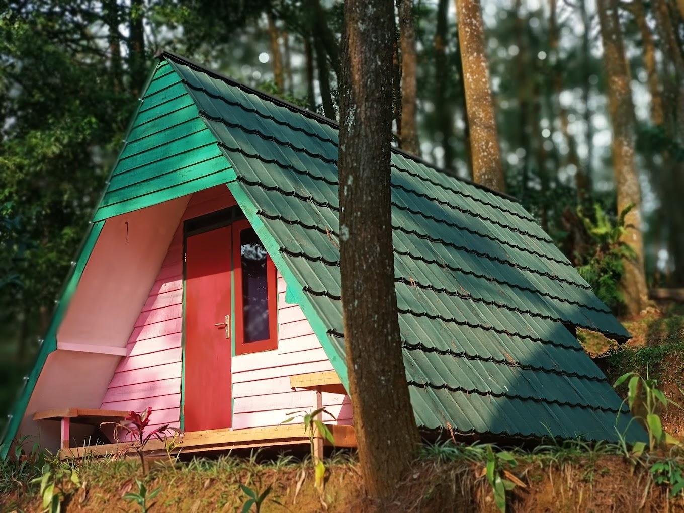 10 Rekomendasi Glamping Bogor Terbaru 2024: Murah dan Bagus! - Dewatiket