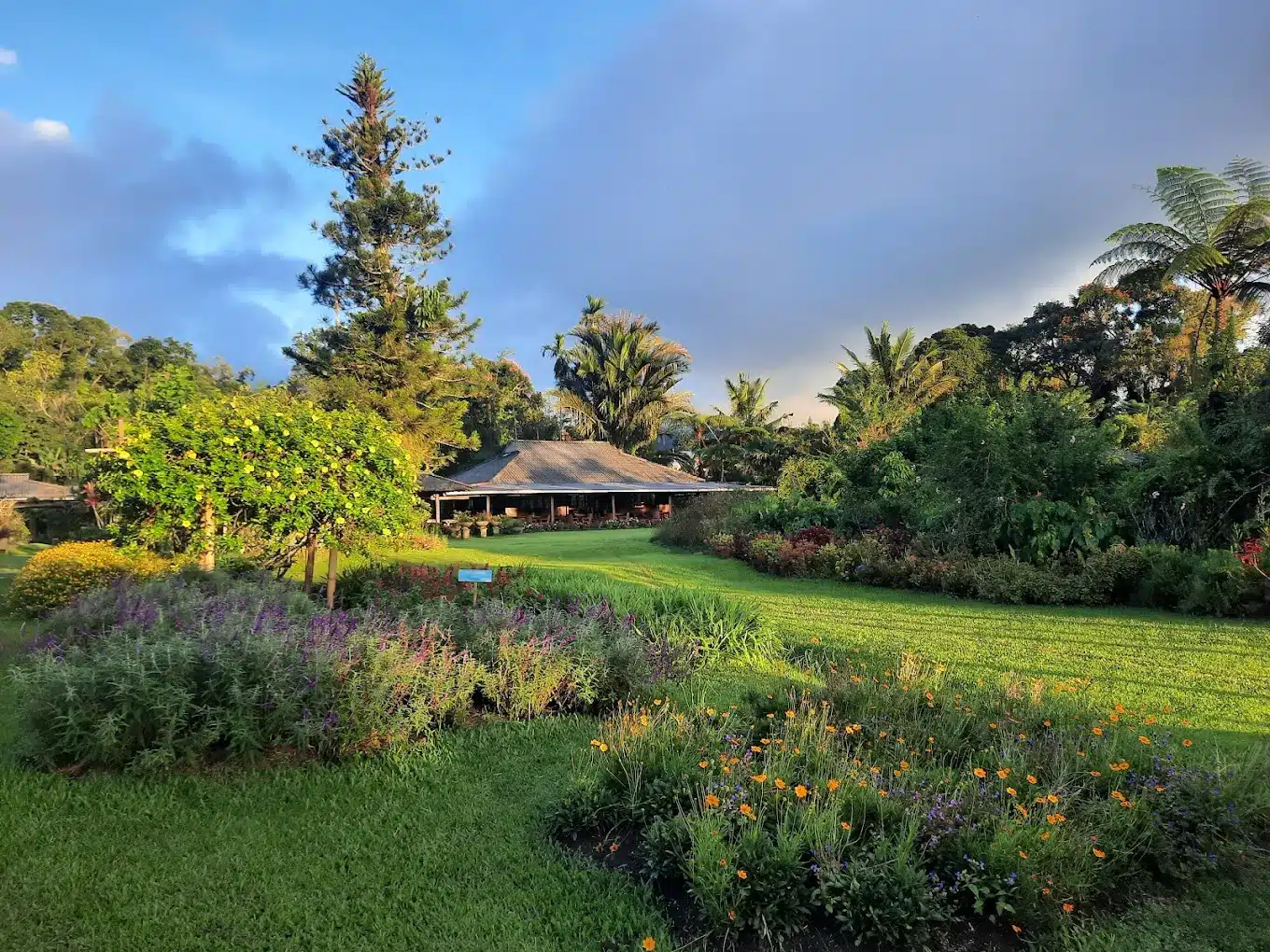 Tempat wisata di Manado yang lagi trend, Gardenia Country Inn