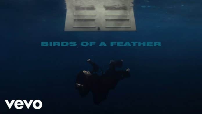 Makna Lagu Birds of A Feather