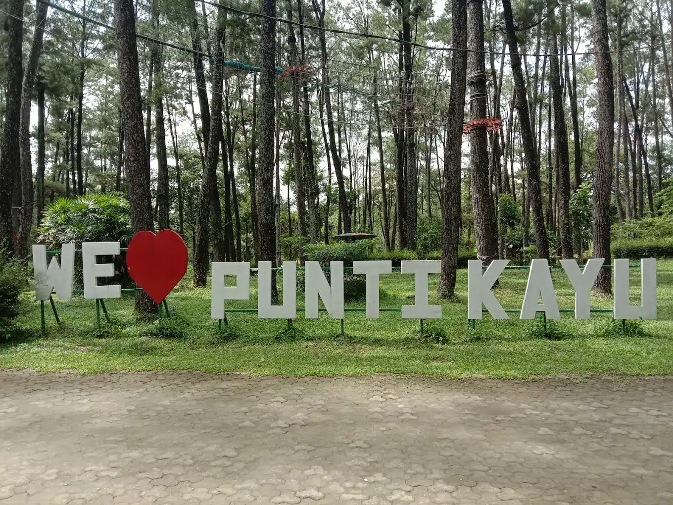 Tempat wisata di Palembang, Taman Wisata Alam Punti Kayu