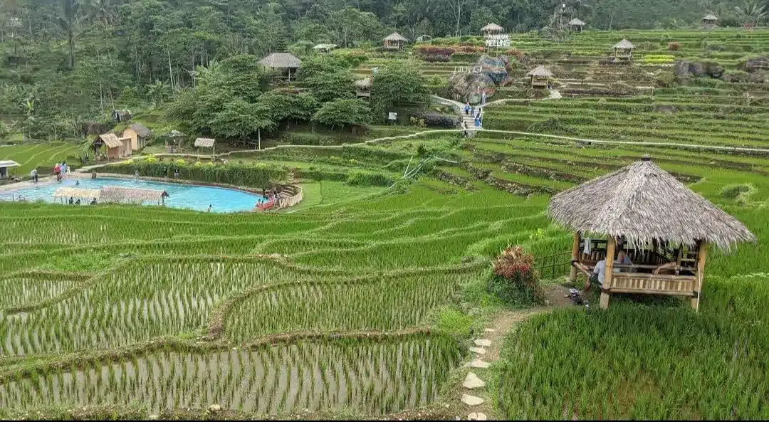 Tempat wisata di Purwokerto, Wisata Pagubugan Melung